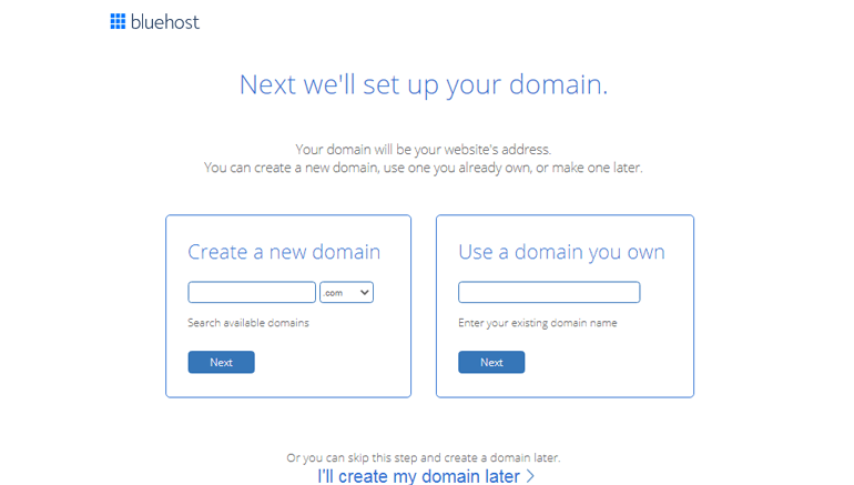 Enter Domain Name WordPress Website Tutorial