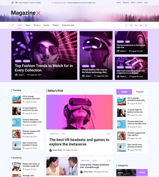 MagazineX WordPress Theme