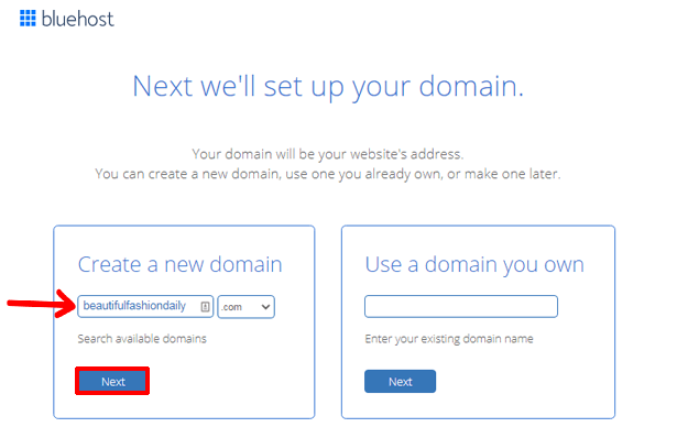 Setting Up Domain Name How to Build an Online Store with WordPress