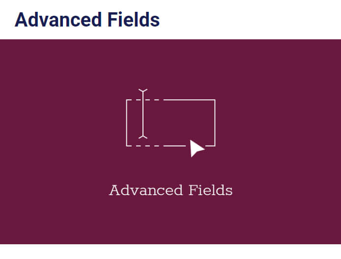 Advanced Fields Add-on